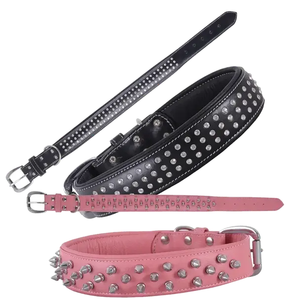 Dog Collars